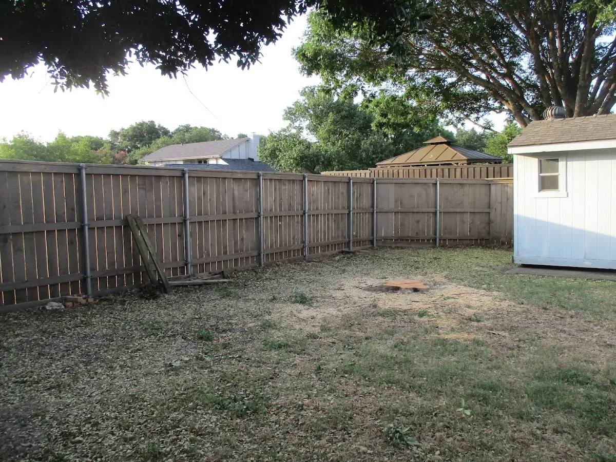 Cleared yard after professional tree removal in Mokelumne Hill